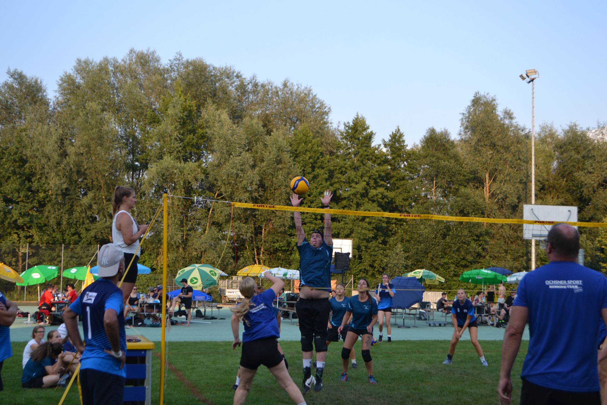Bild (98)